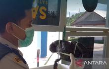 BKHIT Maluku Perketat Pengawasan Pengiriman 540 Kepiting Bakau Tujuan Jakarta
