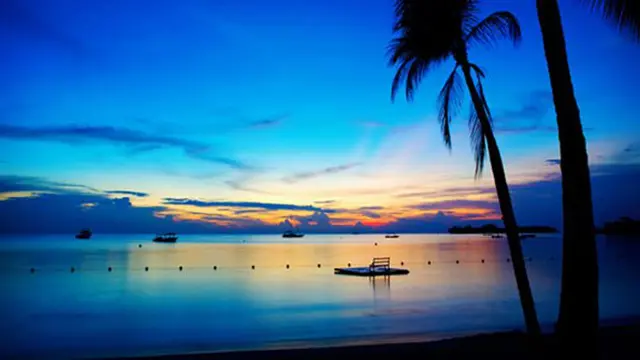 Foto: copyright teambat.org