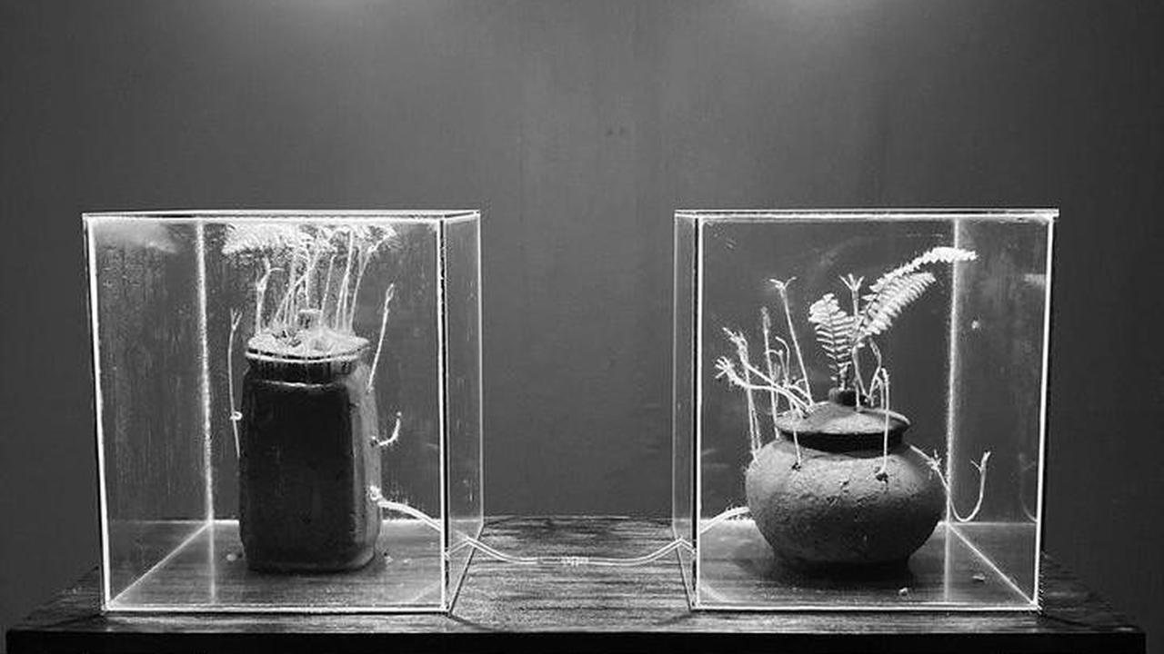 Terinspirasi dari Guci Abu Kremasi Mendiang Ibunya, Albert Yonathan Buat Karya Seni yang Terus Hidup dari Tanah dan Benih