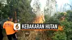 Sempat berhasil dipadamkan, hutan di Gunung Semeru, Jawa Timur, kembali terbakar.