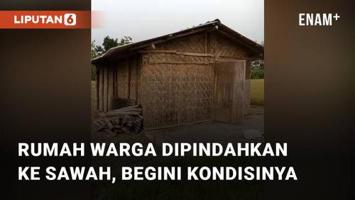 VIDEO: Rumah Seorang Warga Dipindahkan Ke Tengah Sawah, Begini Kondisinya