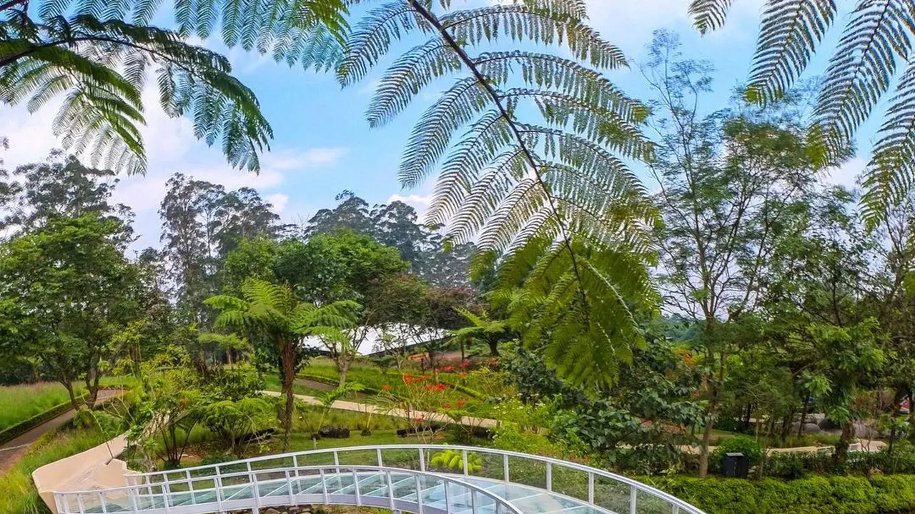 Water Coaster Dusun Bambu