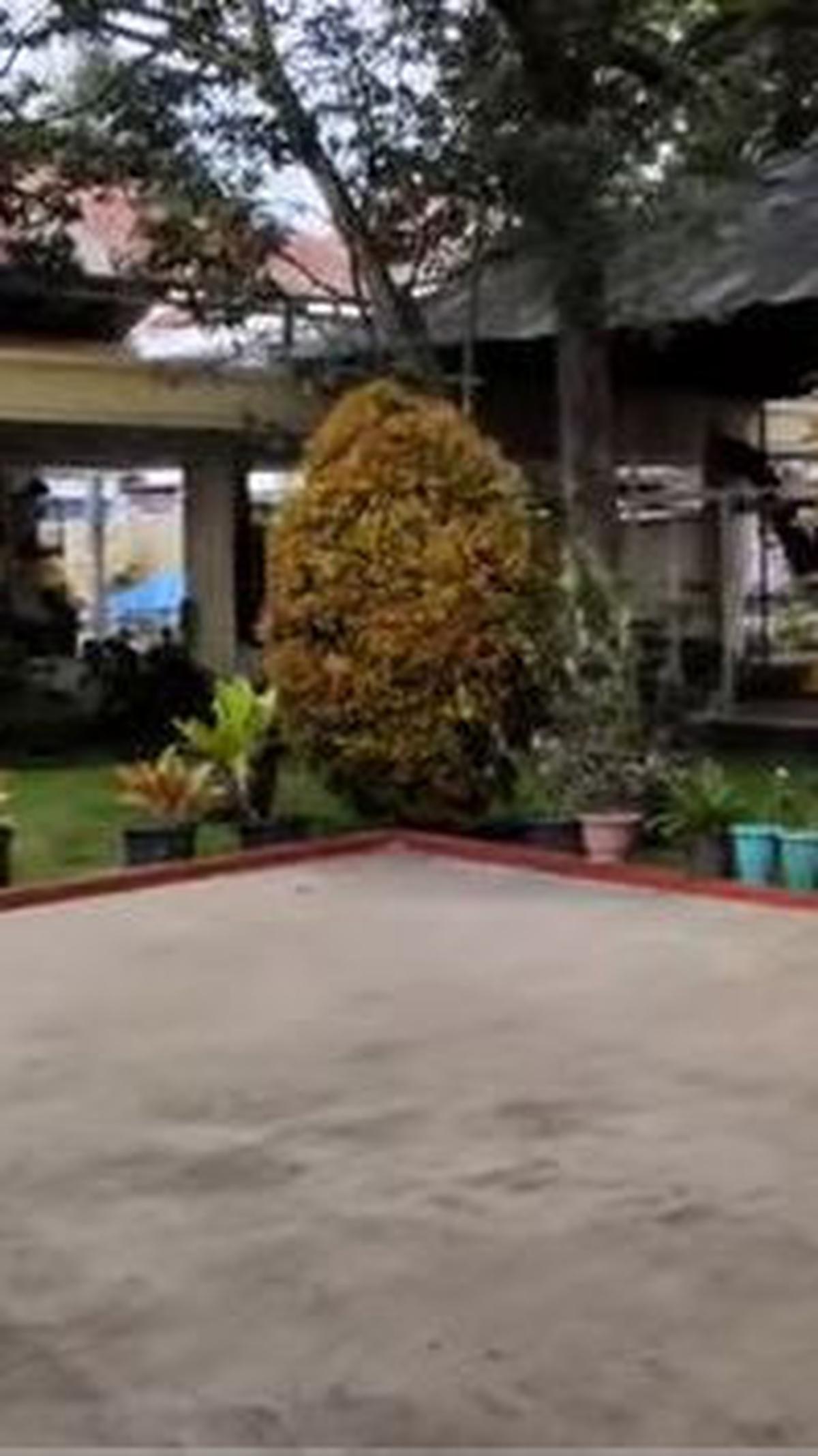 Umuh pun diketahui memiliki hobi mengoleksi tanaman cantik di halaman depan rumahnya. Beberapa sudut rumahnya juga dihiasi beragam jenis tanaman.