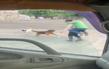 Sosok Pak Satpam ini Jadi Pahlawan Seorang Pria Diserang Anjing, Korban Sampai Nemplok Digemblok Bak Anak Kecil