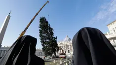 Dua biarawati melihat sebuah derek yang dikerahkan untuk mendirikan pohon Natal raksasa di Alun-alun Santo Petrus, Vatikan, Kamis (23/11). Pohon Natal yang didatangkan dari Polandia ini tingginya mencapai 28 meter. (AP Photo/Andrew Medichini)