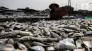 Pekerja menjemur ikan asin di kawasan Kampung Nelayan Muara Angke, Jakarta, Kamis (3/6/2021). Realisasi anggaran pemulihan ekonomi nasional (PEN) hingga 21 Mei 2021 mencapai Rp 183,98 triliun atau 26,3 persen dari total pagu anggaran sebesar Rp 699,43 triliun. (Liputan6.com/Johan Tallo)