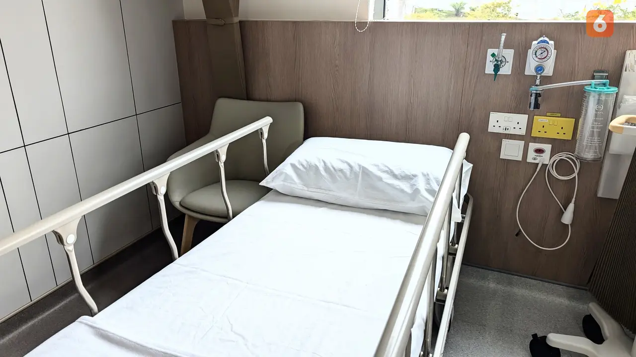 Pakar Ungkap Potensi Ancaman Kesehatan Utama di 2025, Ada Malaria hingga Masalah Mental