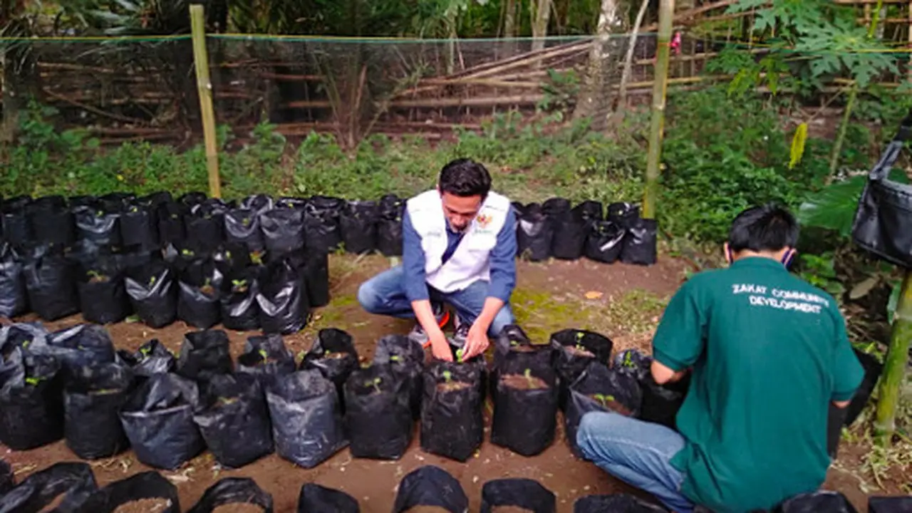 Krisis Corona, Baznas Inisiasi Program Pertanian Keluarga