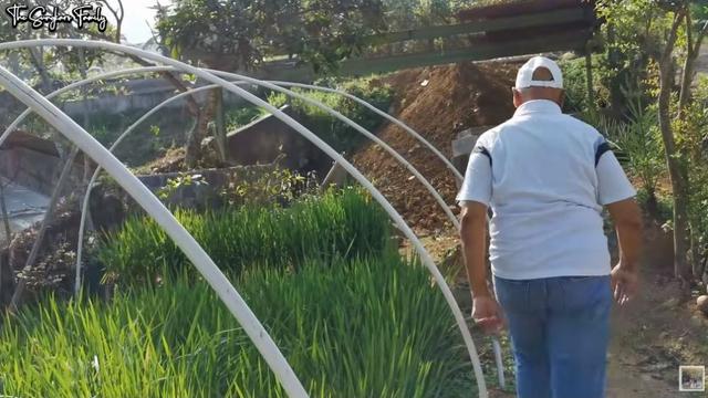 Potret Rumah Mewah Mark Sungkar. (Sumber: Instagram/@marksungkar)