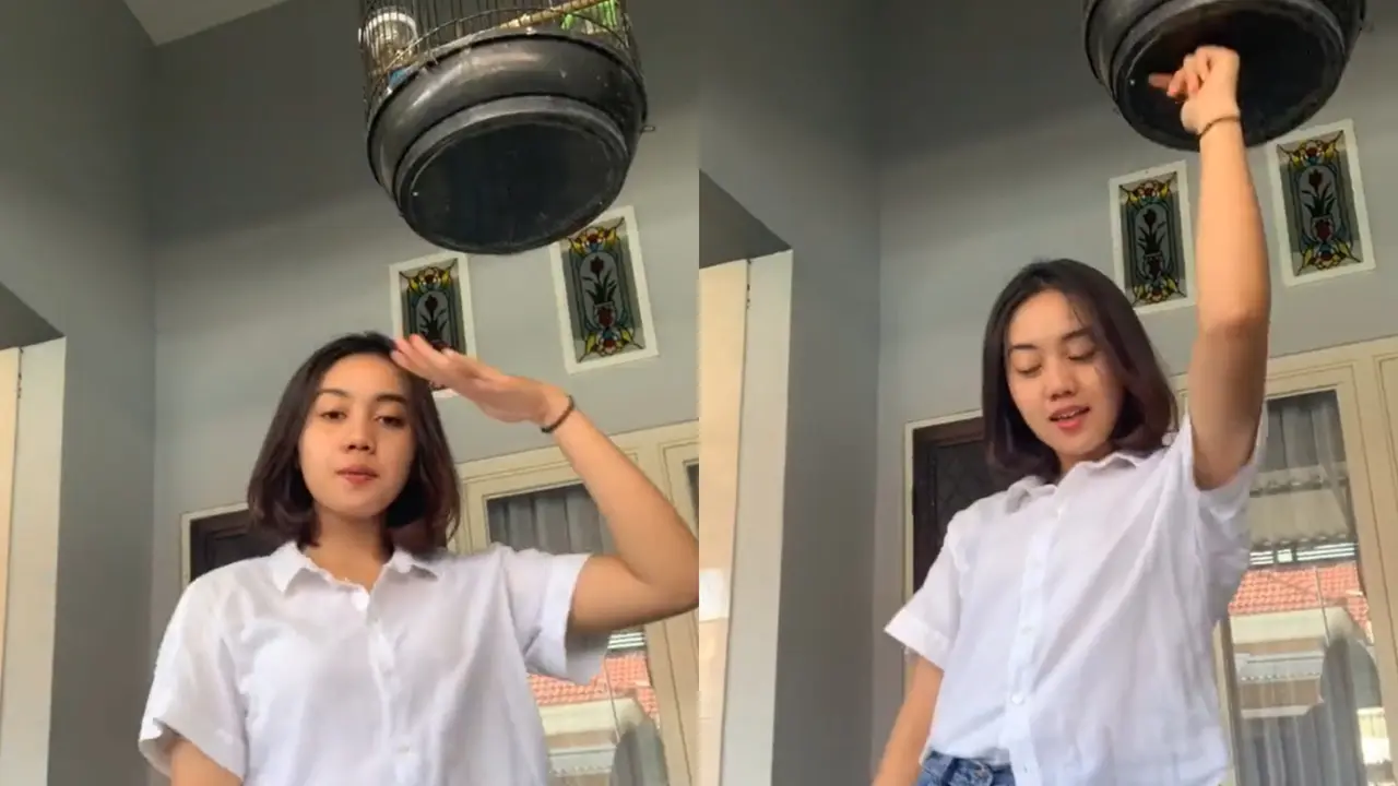 Kandang Burung 1