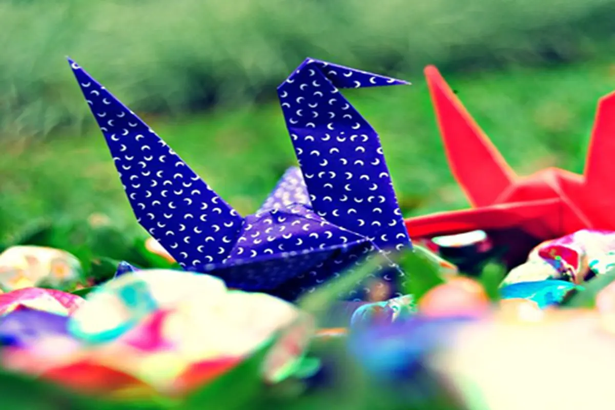 Foto: copyright shutterstock.com