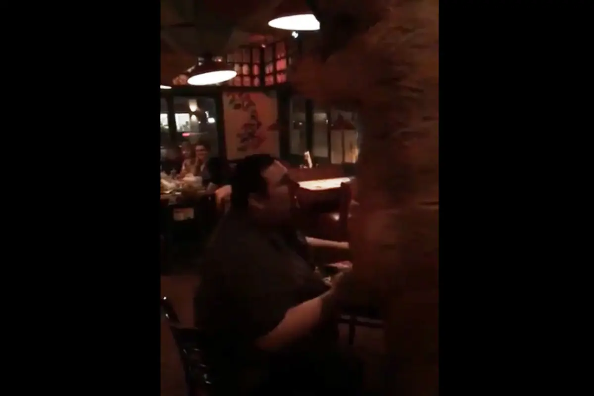 Wanita Ini Lamar Kekasihnya dengan Menggunakan Kostum Dinosaurus
