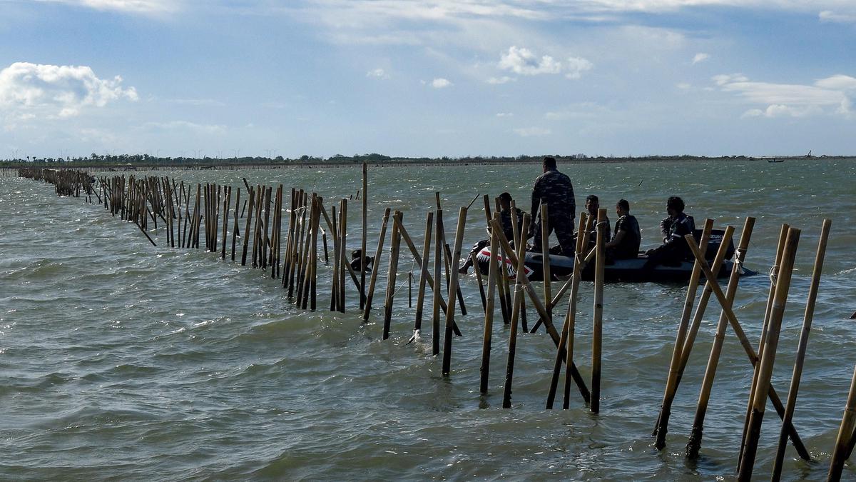 Maju Mundur Pembongkaran Pagar Laut di Tangerang, Nelayan Terdampak