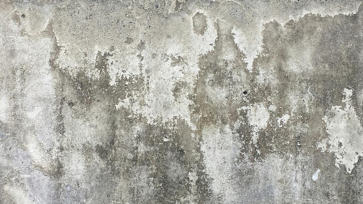 Cara Menghilangkan Jamur di Dinding Rumah Agar Bersih Tuntas: Efektif dan Aman