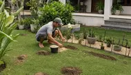 6 Cara Cepat Mengatasi Halaman yang Sering Digali Hewan, Gunakan Bahan Alami dan Praktis