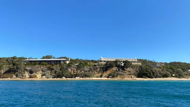 Sorrento Dolphin & Seal Boat Tour