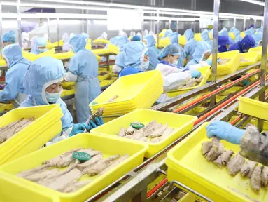 Pekerja mengolah ikan di pabrik sebuah perusahaan makanan di Donggang, Provinsi Liaoning, China, 10 September 2020. Perusahaan-perusahaan produk ikan di Donggang sedang mengembangkan sejumlah produk olahan baru dan memperluas saluran pemasaran untuk memastikan penjualan mereka. (Xinhua/Yao Jianfeng)