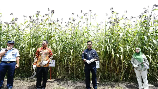 Kementan