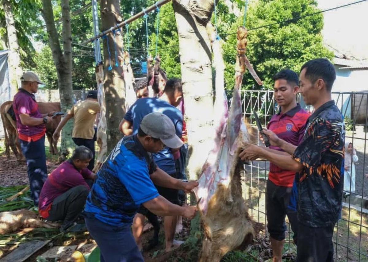 FOTO Koopsudnas Salurkan Semangat Berkurban Lewat 27 Hewan Kurban