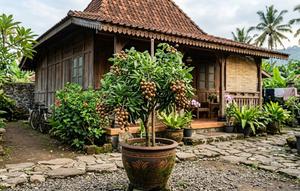 Pohon Buah Pendek Tapi Cepat Panen dalam Pot (created by AI)