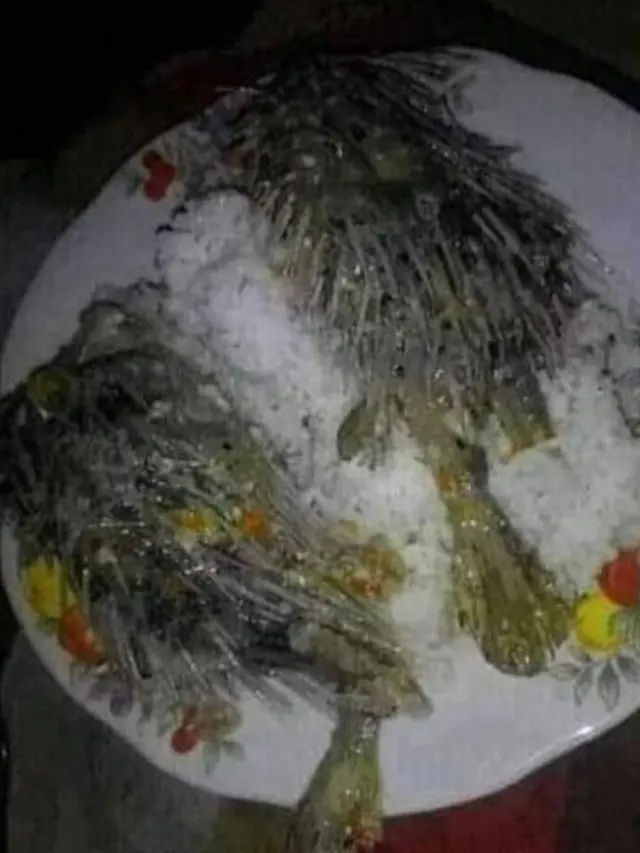 6 Potret Makan Ikan Mentah Ini Bikin Enggak Habis Pikir