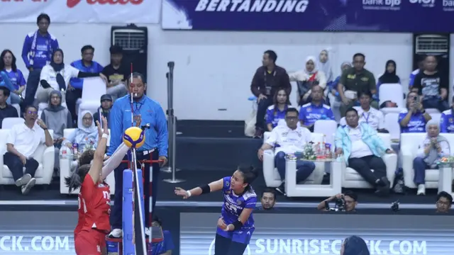 PLN Mobile Proliga 2025
