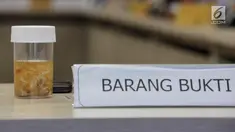 Barang bukti benih lobster yang diselundupkan saat ditunjukkan dalam acara rilis Kementerian Kelautan dan Perikanan (KKP) bersama Kepolisian RI di Gedung Kementerian Kelautan dan Perikanan, Jakarta, Senin (9/10). (Liputan6.com/Faizal Fanani)