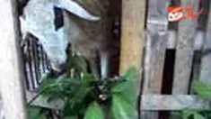 liputan6