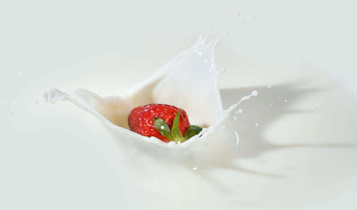 Yogurt Probiotik