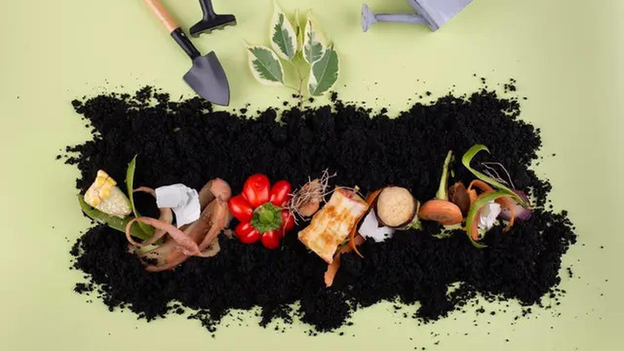 7 Jenis Sampah Rumah Tangga yang Bisa Mengundang Kehadiran Ular