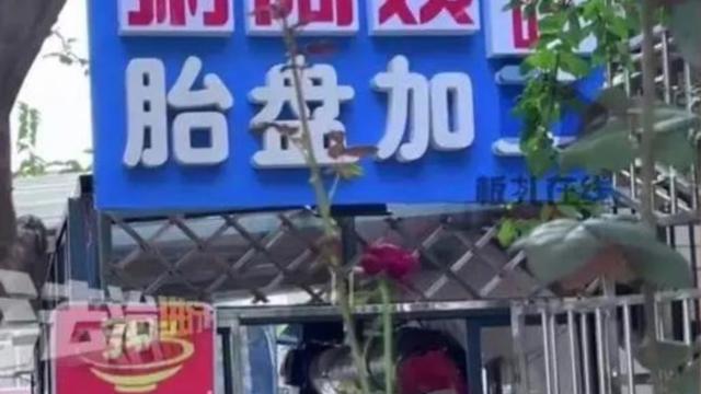 Olah Ari-Ari Jadi Pil Kesehatan