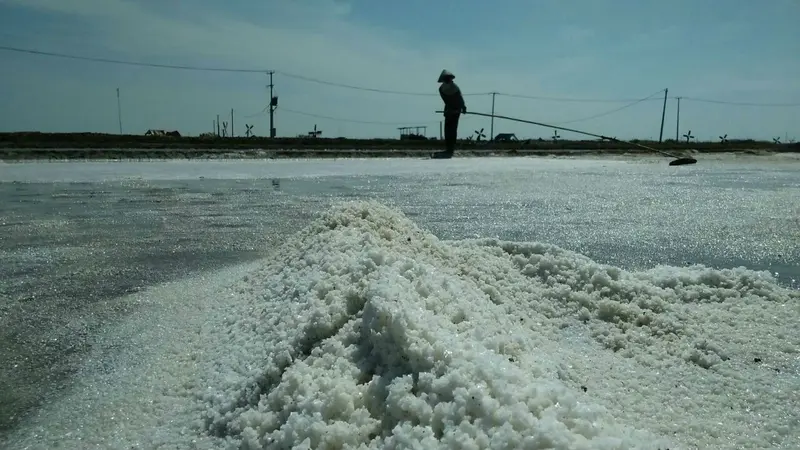 Curhat Petambak Garam Cirebon Ditengah Produksi Yang Melimpah