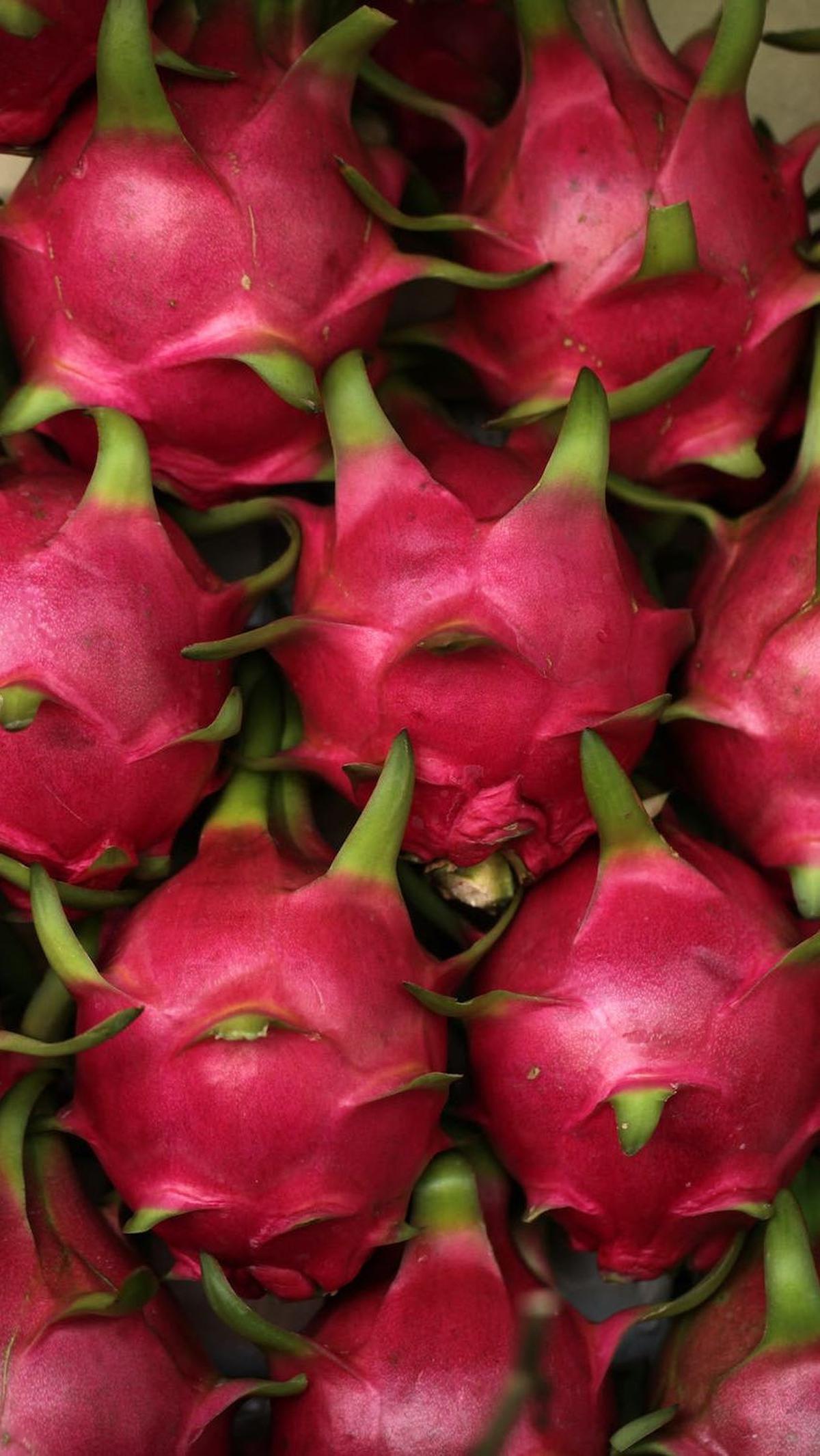 8.&nbsp;Buah Naga: Warna Merah Cerah dengan Banyak Manfaat
