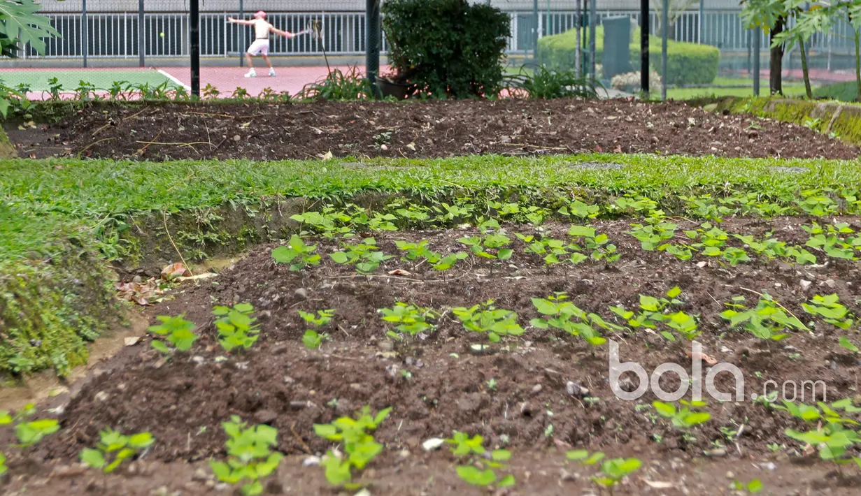 Aksi seorang petenis saat berlatih mematangkan strategi guna mengikuti babak selanjutnya pada ajang Combiphar Tennis Open 2017 di Hotel Sultan, Jakarta. Senin (13/2/2017). (Bola.com/Nicklas Hanoatubun)