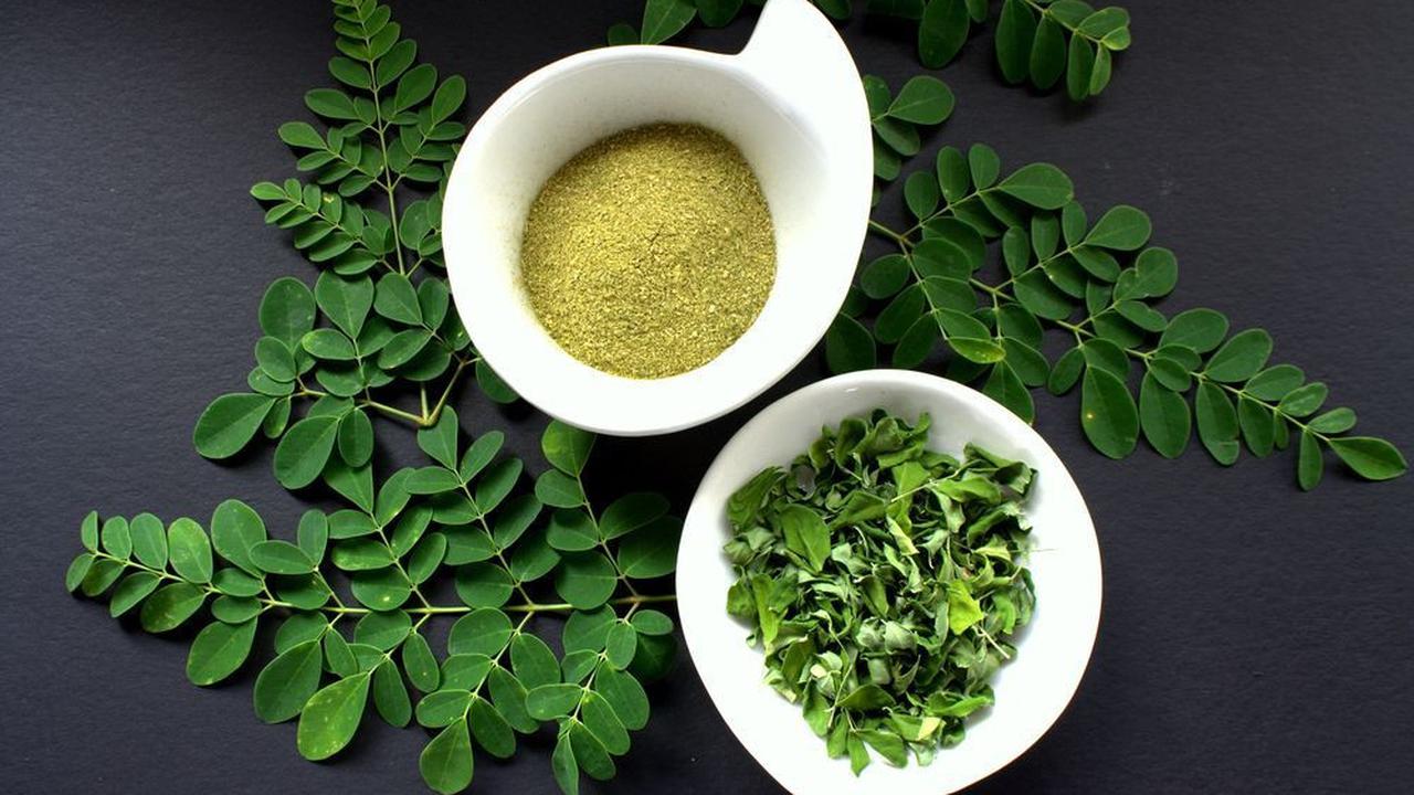 4. Daun Kelor