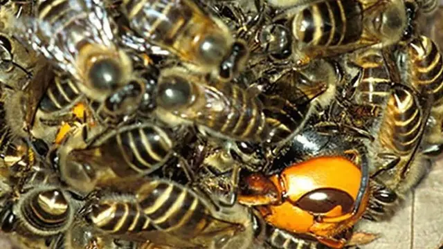 Tak Selalu Indah, 7 Foto Ini Buktikan Alam Juga Bisa Mengerikan