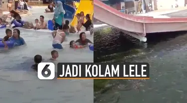 Sebuah video kolam renang berubah jadi kolam budi daya ikan lele viral di media sosial.