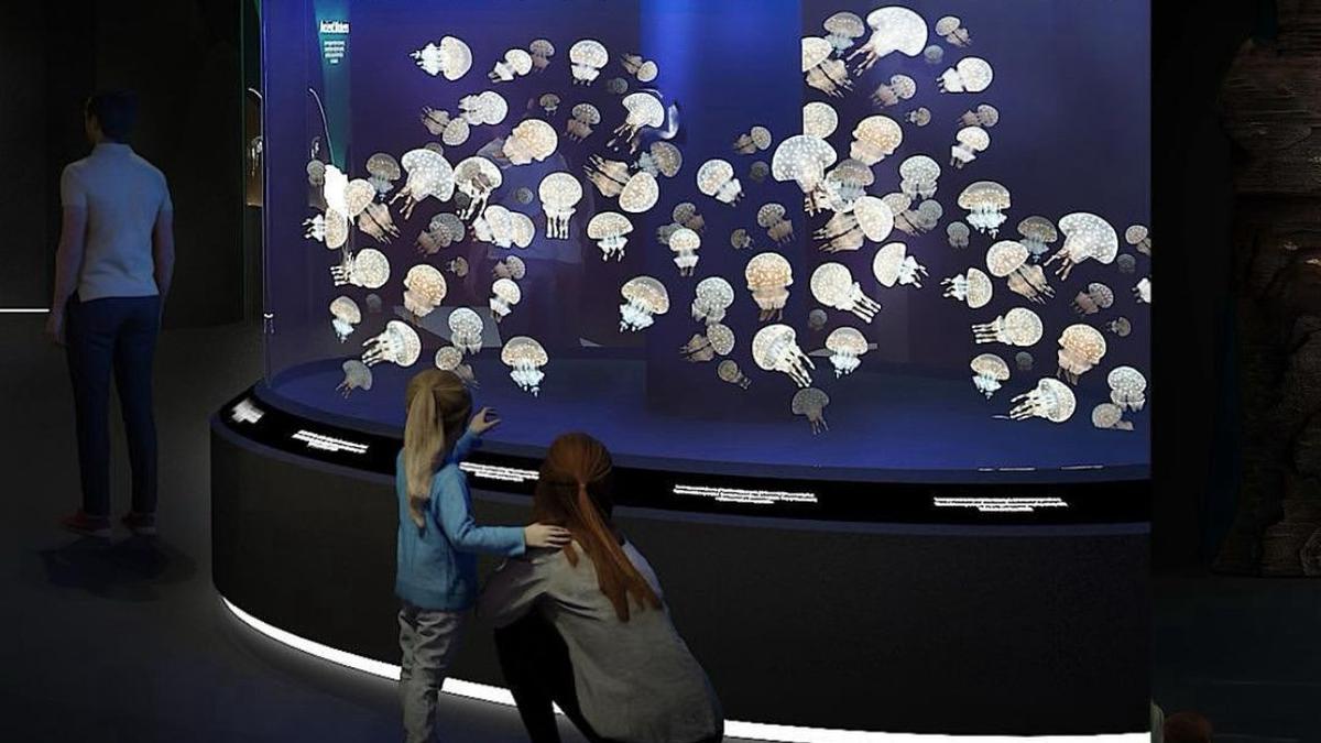 Singapore Oceanarium Mulai Dibuka 24 Juli 2025, Tiketnya Sudah Bisa Dibeli Online