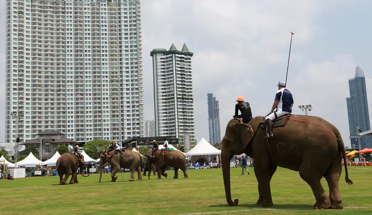 Para pemain Polo menunggang gajah saat bermain dalam turnamen Elephant Polo King's Cup di Bangkok, Thailand (8/3). Turnamen ini digelar bertujuan mengumpulkan dana untuk kehidupan populasi gajah liar. (AP Photo / Sakchai Lalit)