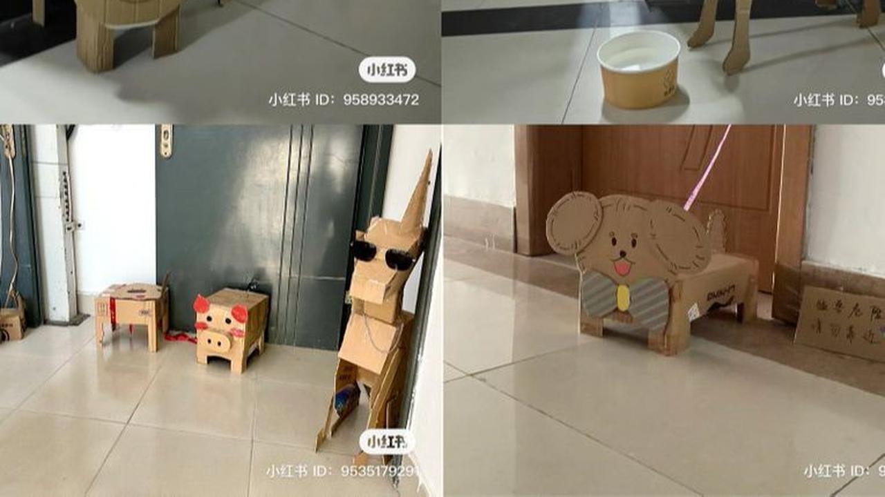Hobi aneh ini menyusul tren janggal sebelumnya yang tahun lalu menampilkan anak-anak muda di universitas membuat hewan peliharaan dari kardus.