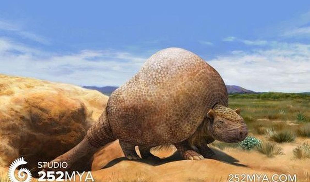 3.&nbsp;Glyptodont