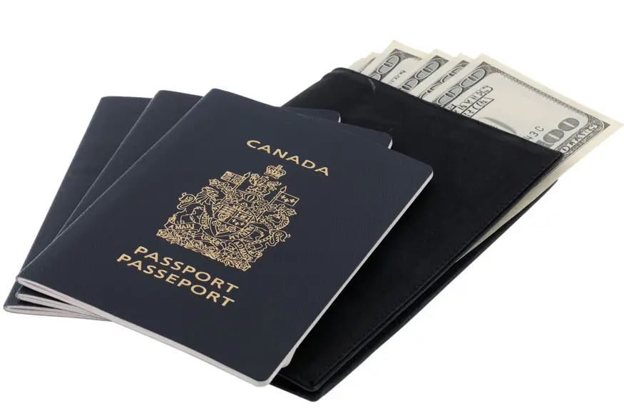 Ilustrasi paspor Kanada (AFP)