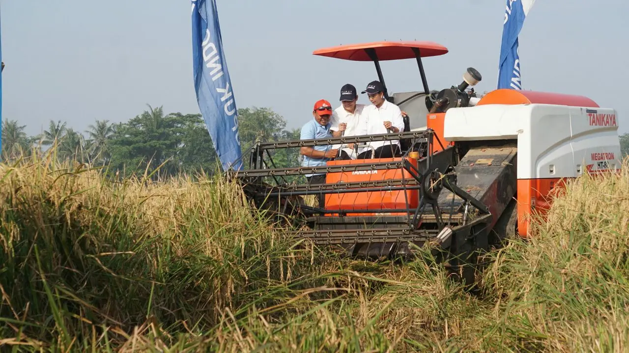 Menteri BUMN Rini Soemarno melakukan panen raya di Desa Duhur, Karawang. (Dok Kementerian BUMN)