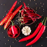 Ilustrasi cabai merah segar dan kering/copyright freepik.com/8photo