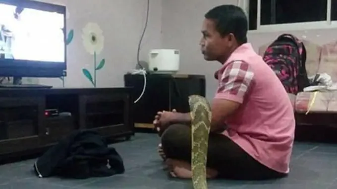 Photo: Copyright dailymail.co.uk