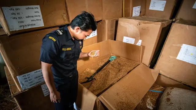 Petugas bea Cukai tengah menjalani tugas dalam Operasi Gempur Rokok Ilegal 2023. Operasi tersebut kini memasuki tahap II. (Istimewa)