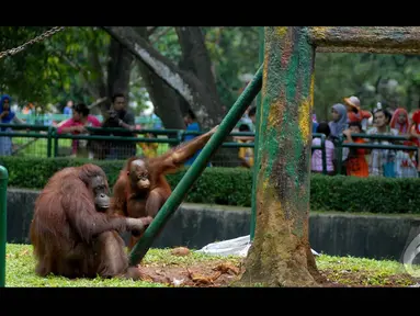  Taman Margasatwa Ragunan, Jakarta Selatan, menjadi salah satu tujuan rekreasi saat libur Lebaran (Liputan6.com/Miftahul Hayat)