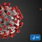 Ilustrasi Novel Coronavirus 2019 (2019-nCoV). (CDC via AP, File)