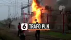 pln thumbnail