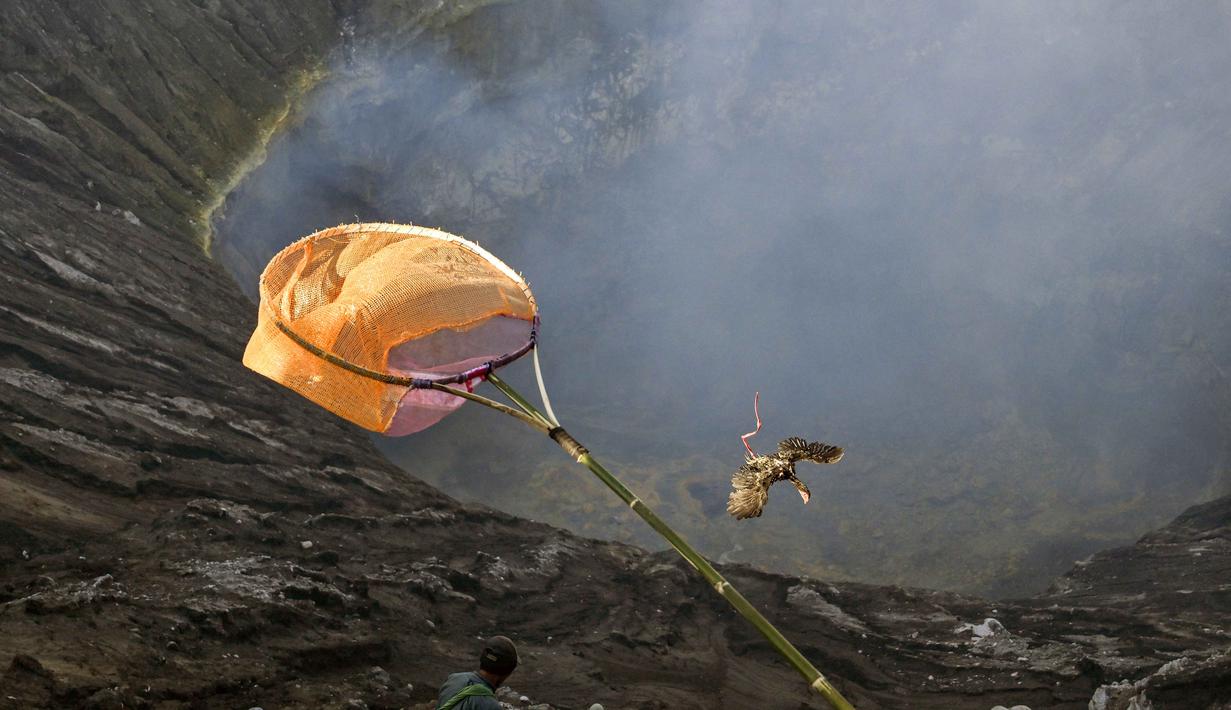 Seekor ayam hidup dilepaskan ke kawah gunung berapi aktif Bromo saat umat Hindu dari komunitas Tengger mempersembahkan sesaji selama festival Yadnya Kasada di dekat Probolinggo, Jawa Timur, Senin 1 Juni 2026. (JUNI KRISWANTO/AFP)